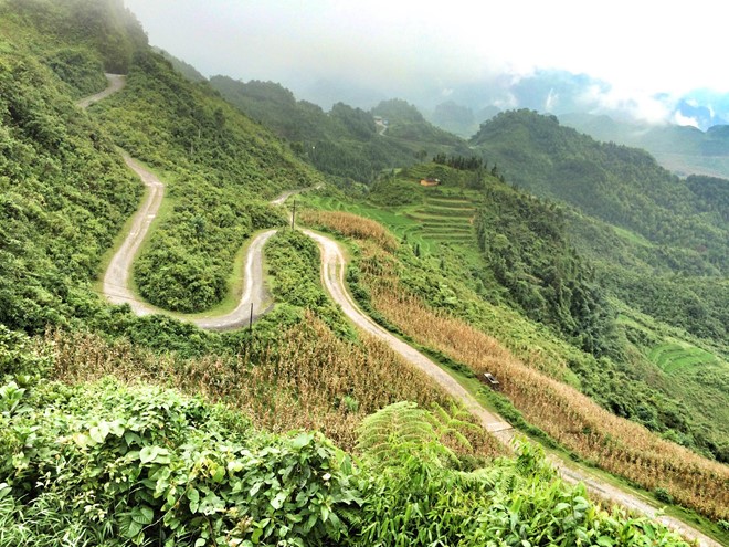 Không có ảnh